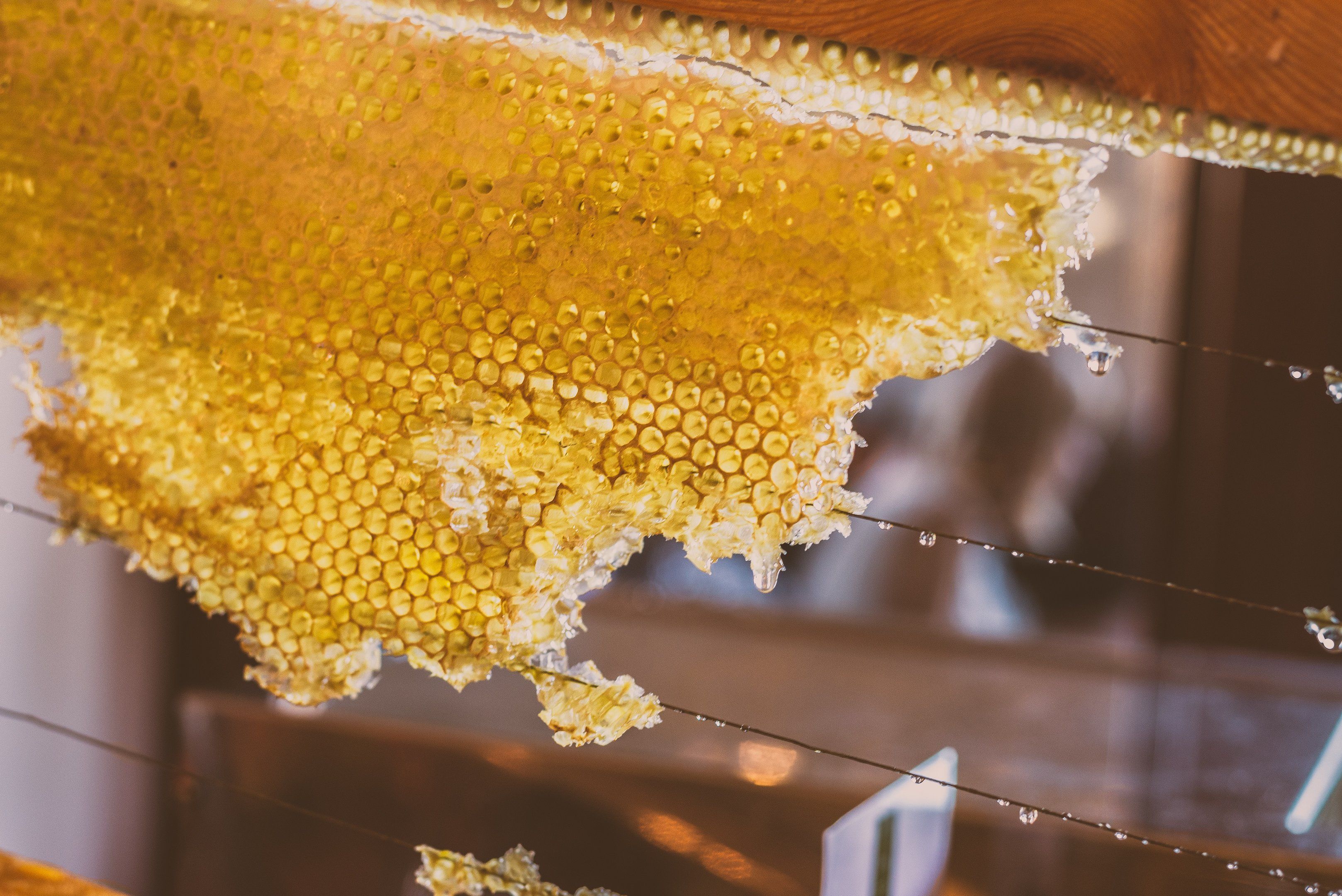 Honeycomb with honey dripping from the cells